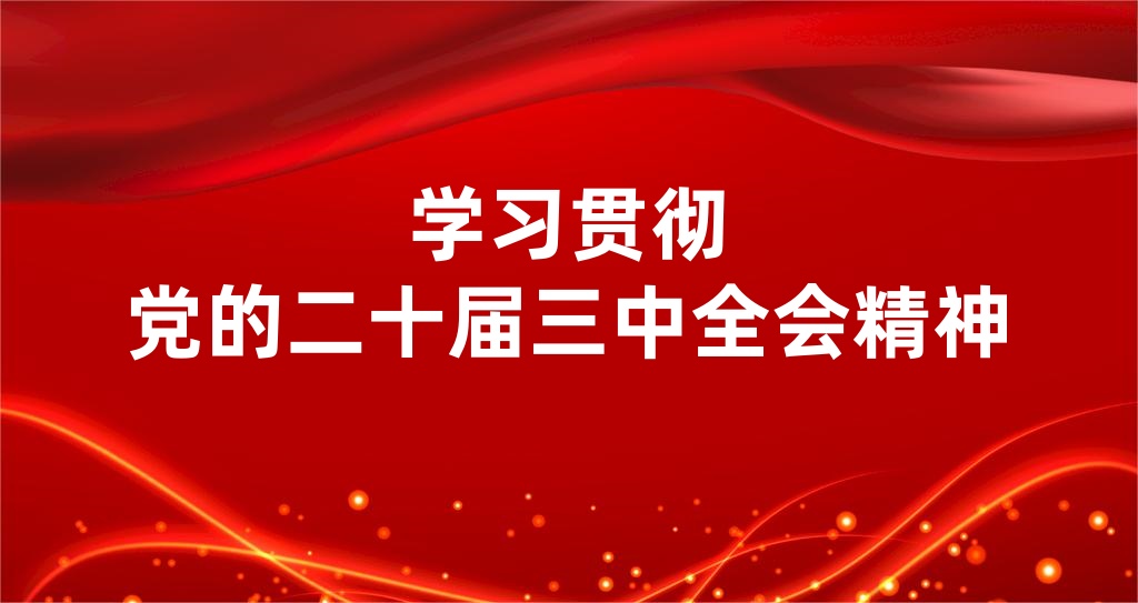 我省伊斯兰教界代表人士认真学习贯彻党的二十届三中全会精神
